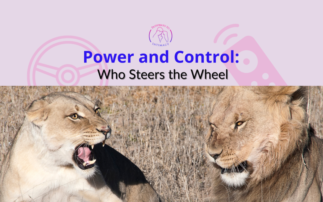 Power and Control: Who Steers the Wheel